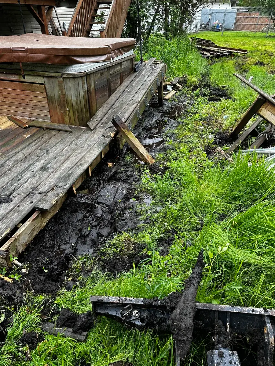 Yard Cleaning photo 8